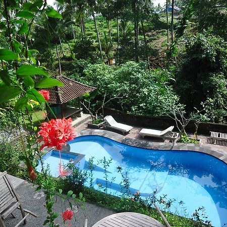 Sari Wangi Cottage أوبود المظهر الخارجي الصورة