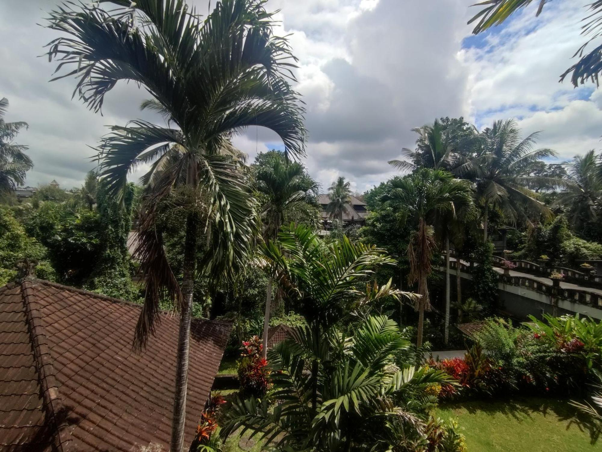 Sari Wangi Cottage أوبود المظهر الخارجي الصورة