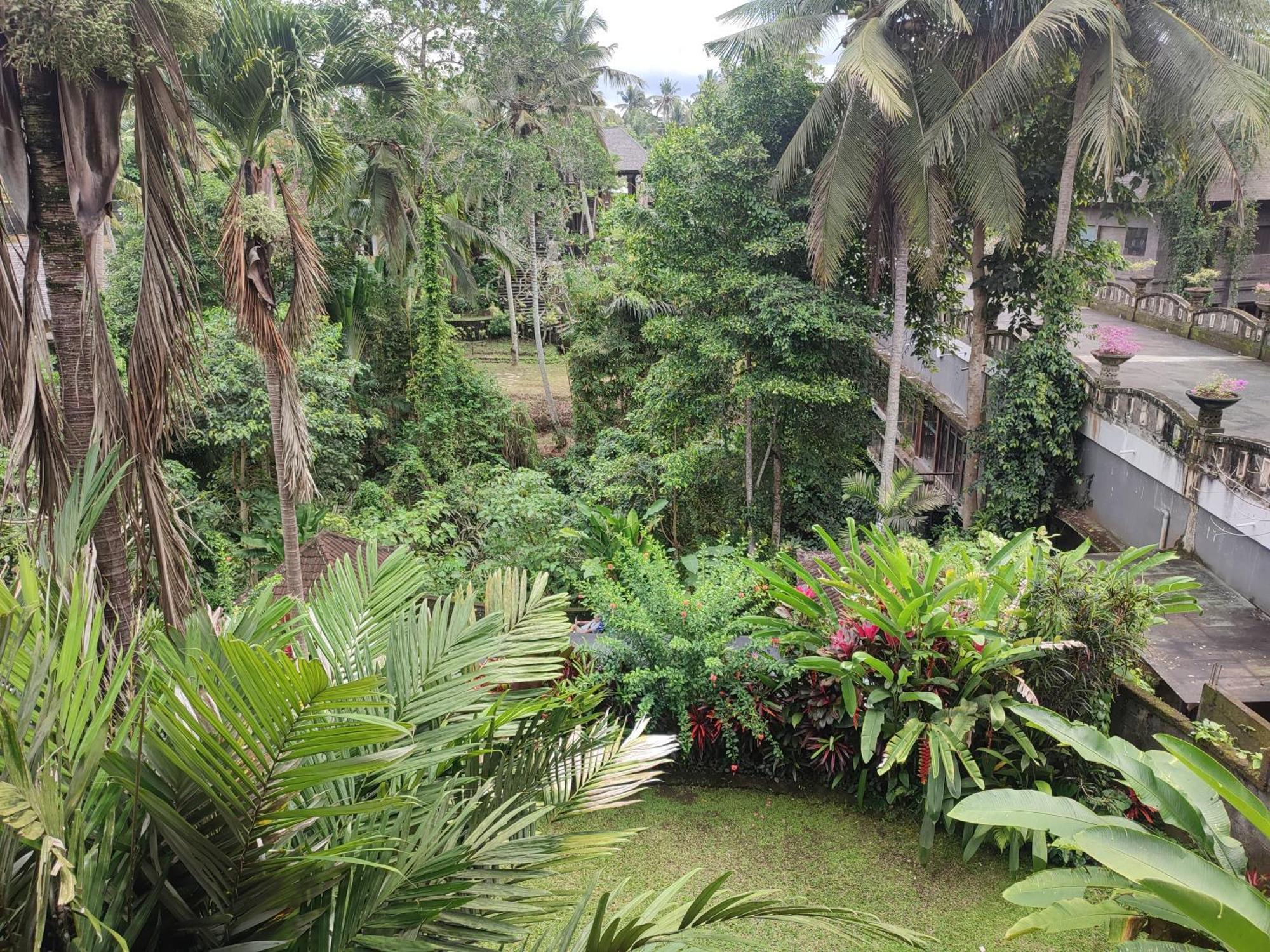 Sari Wangi Cottage أوبود المظهر الخارجي الصورة