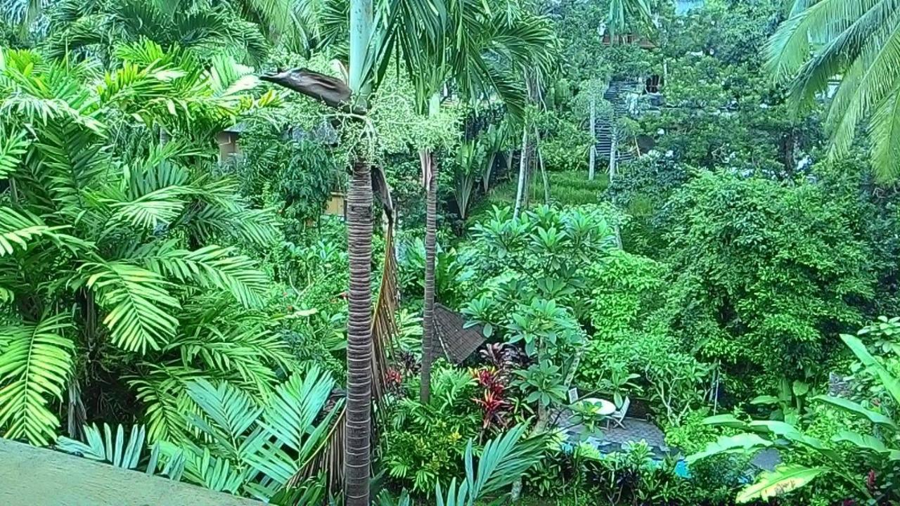 Sari Wangi Cottage أوبود المظهر الخارجي الصورة