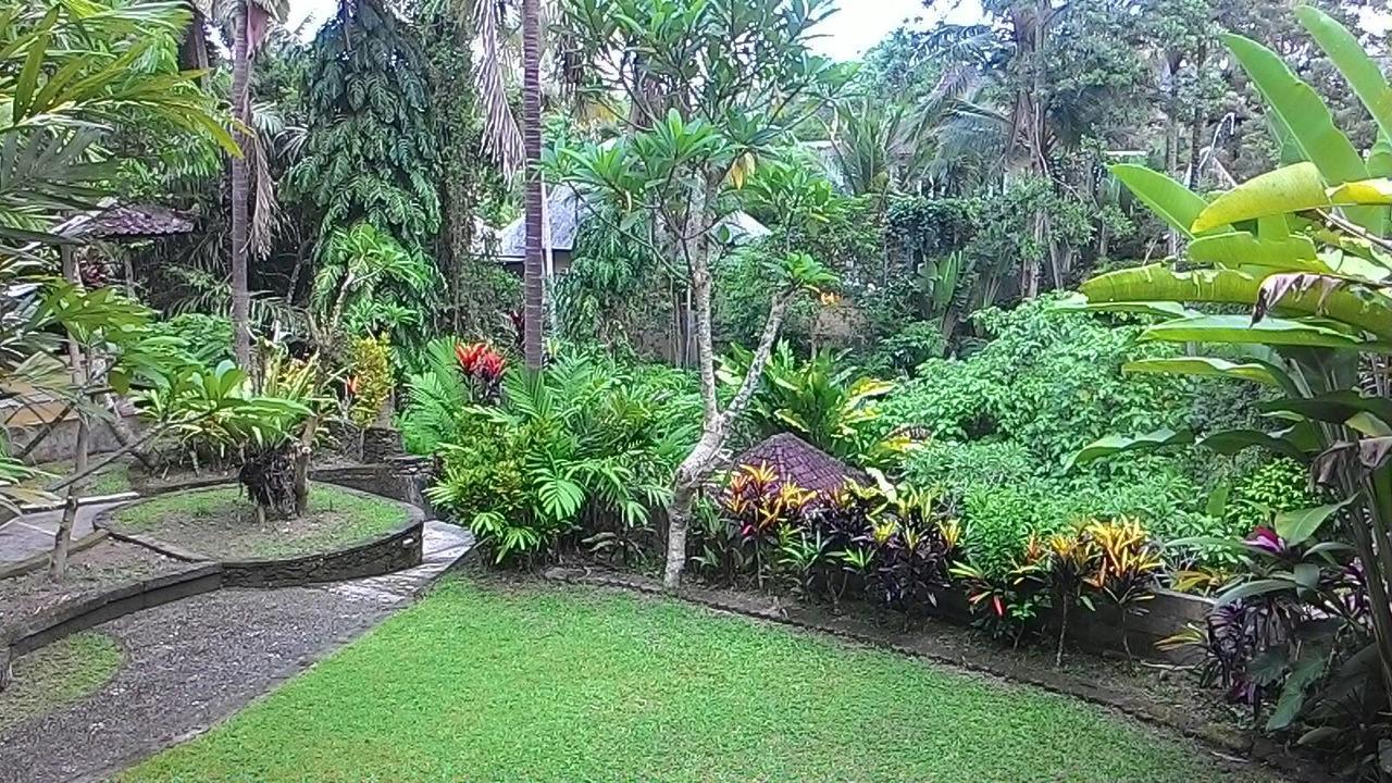 Sari Wangi Cottage أوبود المظهر الخارجي الصورة