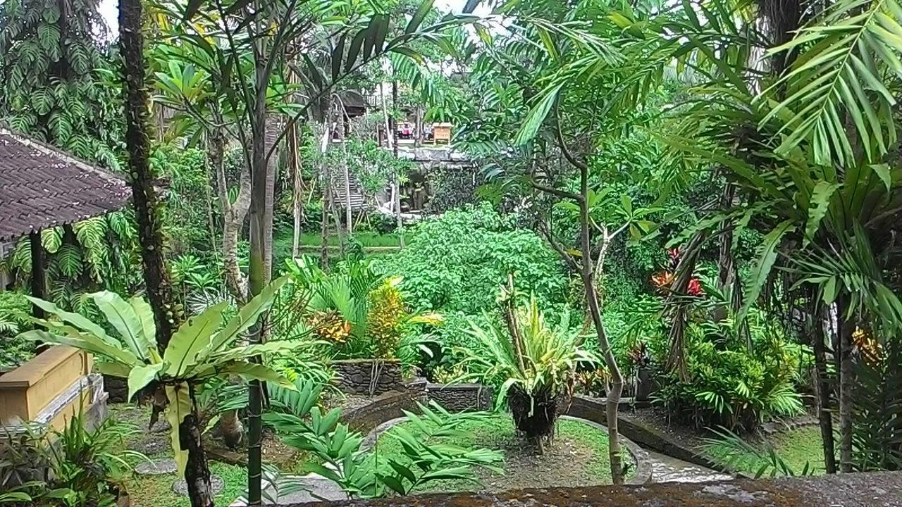 Sari Wangi Cottage أوبود المظهر الخارجي الصورة